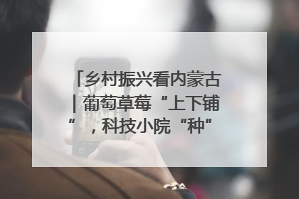 乡村振兴看内蒙古｜葡萄草莓“上下铺”，科技小院“种”出三倍效益