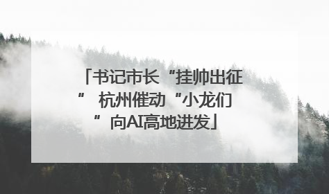 书记市长“挂帅出征” 杭州催动“小龙们”向AI高地进发