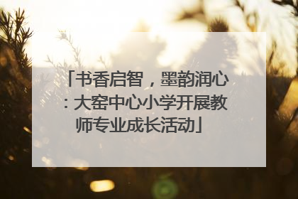 书香启智，墨韵润心：大窑中心小学开展教师专业成长活动
