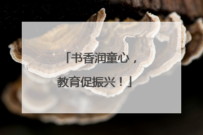 书香润童心，教育促振兴！