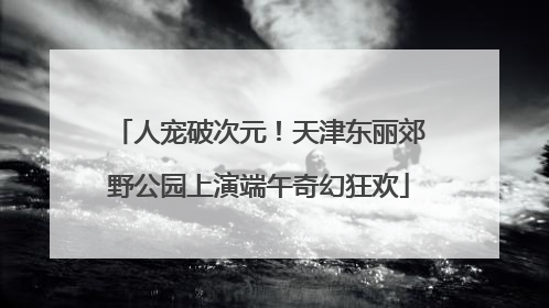 人宠破次元！天津东丽郊野公园上演端午奇幻狂欢