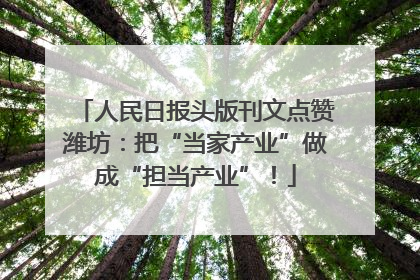 人民日报头版刊文点赞潍坊：把“当家产业”做成“担当产业”！
