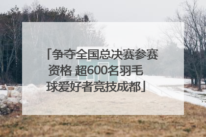 争夺全国总决赛参赛资格 超600名羽毛球爱好者竞技成都