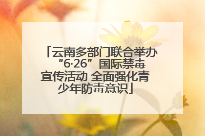 云南多部门联合举办“6·26”国际禁毒宣传活动 全面强化青少年防毒意识