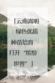 云南嵩明：绿色优质种苗培育 打开“缤纷世界”