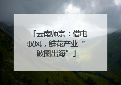 云南师宗：借电驭风，鲜花产业“破圈出海”
