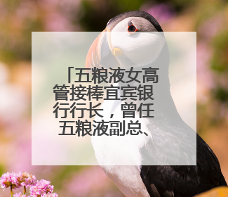五粮液女高管接棒宜宾银行行长，曾任五粮液副总、董秘等职