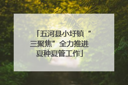五河县小圩镇“三聚焦”全力推进夏种夏管工作