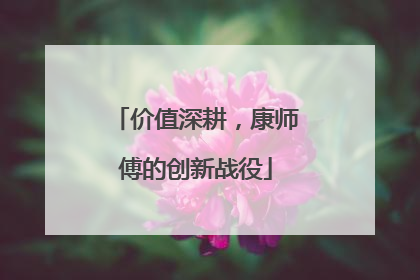 价值深耕，康师傅的创新战役