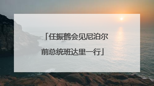 任振鹤会见尼泊尔前总统班达里一行