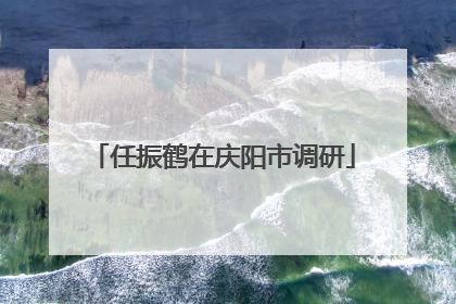 任振鹤在庆阳市调研