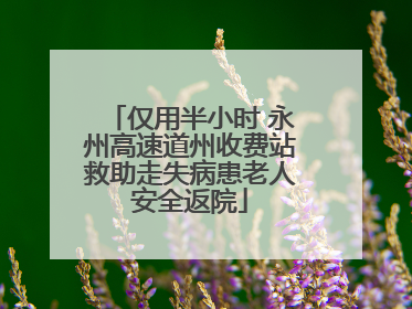 仅用半小时 永州高速道州收费站救助走失病患老人安全返院