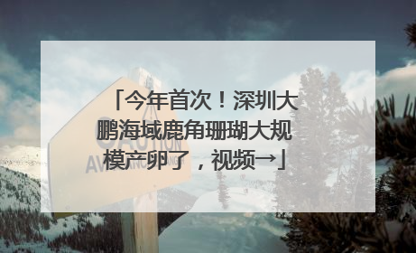 今年首次！深圳大鹏海域鹿角珊瑚大规模产卵了，视频→