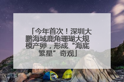 今年首次！深圳大鹏海域鹿角珊瑚大规模产卵，形成“海底繁星”奇观