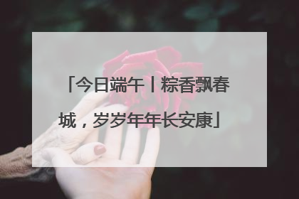 今日端午丨粽香飘春城，岁岁年年长安康