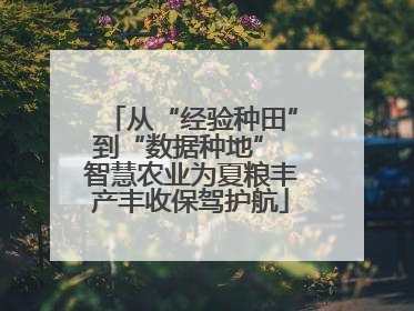 从“经验种田”到“数据种地” 智慧农业为夏粮丰产丰收保驾护航