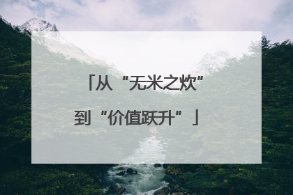 从“无米之炊”到“价值跃升”