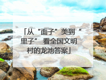 从“面子”美到“里子” 看全国文明村的龙池答案