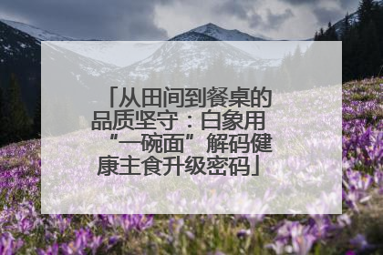 从田间到餐桌的品质坚守：白象用“一碗面”解码健康主食升级密码
