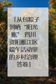 从包粽子到晒“阳光账” 四川资阳雁江区端午活动里的乡村治理答卷