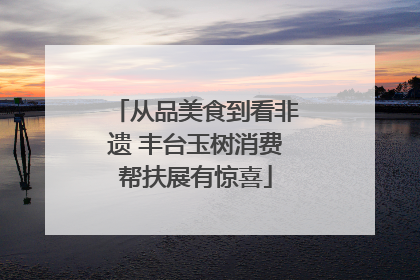 从品美食到看非遗 丰台玉树消费帮扶展有惊喜