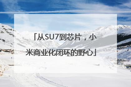 从SU7到芯片，小米商业化闭环的野心