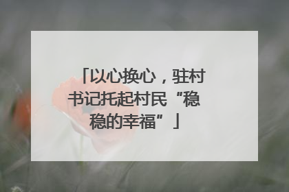 以心换心，驻村书记托起村民“稳稳的幸福”