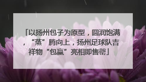 以扬州包子为原型，圆润饱满，“蒸”腾向上，扬州足球队吉祥物“包赢”亮相即售罄