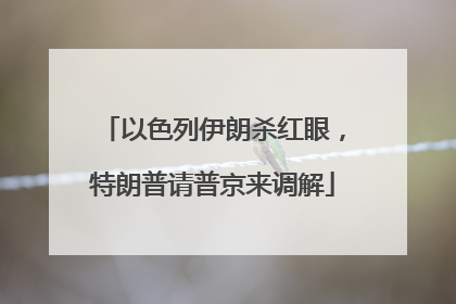 以色列伊朗杀红眼，特朗普请普京来调解