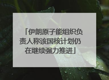 伊朗原子能组织负责人称该国核计划仍在继续强力推进