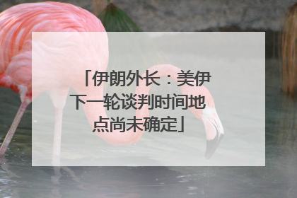 伊朗外长：美伊下一轮谈判时间地点尚未确定