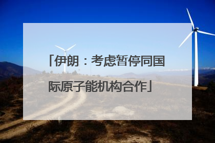 伊朗：考虑暂停同国际原子能机构合作