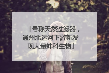 号称天然过滤器，通州北运河下游新发现大量蚌科生物