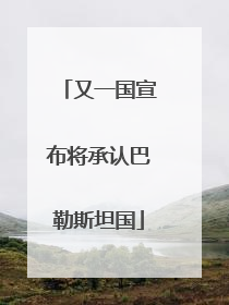 又一国宣布将承认巴勒斯坦国