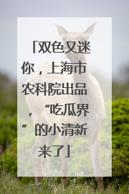 双色又迷你,上海市农科院出品,“吃瓜界”的小清新来了
