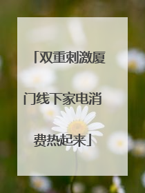 双重刺激厦门线下家电消费热起来