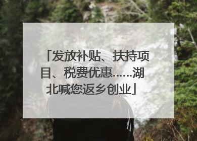 发放补贴、扶持项目、税费优惠……湖北喊您返乡创业