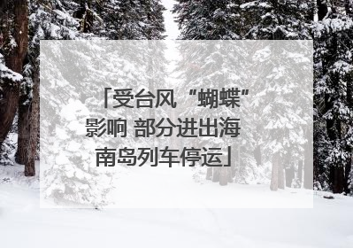 受台风“蝴蝶”影响 部分进出海南岛列车停运