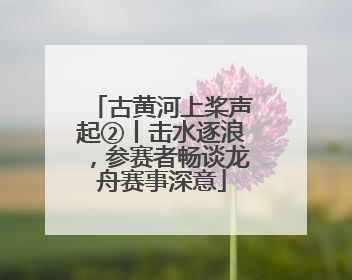 古黄河上桨声起②丨击水逐浪，参赛者畅谈龙舟赛事深意