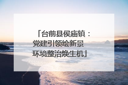 台前县侯庙镇：党建引领绘新景 环境整治焕生机