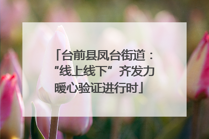 台前县凤台街道：“线上线下”齐发力 暖心验证进行时