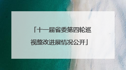 十一届省委第四轮巡视整改进展情况公开
