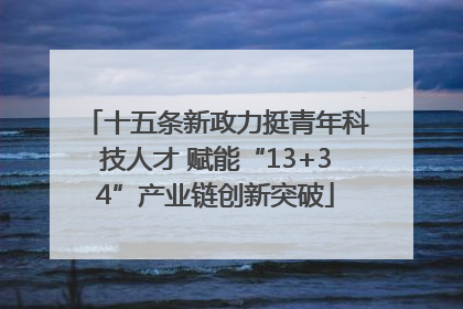 十五条新政力挺青年科技人才 赋能“13+34”产业链创新突破