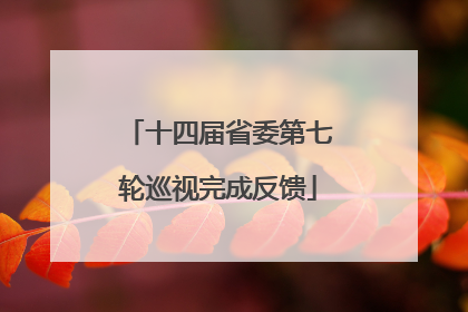 十四届省委第七轮巡视完成反馈