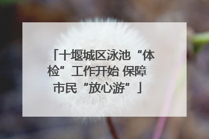 十堰城区泳池“体检”工作开始 保障市民“放心游”
