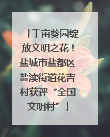 千亩葵园绽放文明之花！盐城市盐都区盐渎街道花吉村获评“全国文明村”