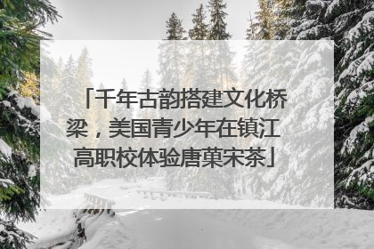 千年古韵搭建文化桥梁，美国青少年在镇江高职校体验唐菓宋茶