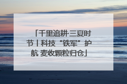 千里追耕·三夏时节丨科技“铁军”护航 麦收颗粒归仓