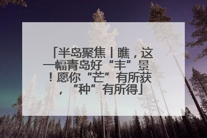 半岛聚焦丨瞧，这一幅青岛好“丰”景！愿你“芒”有所获，“种”有所得