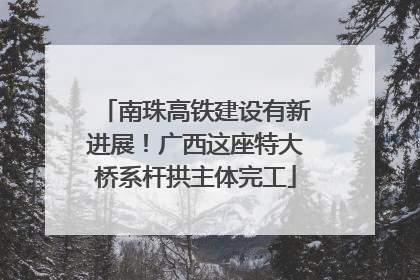 南珠高铁建设有新进展！广西这座特大桥系杆拱主体完工